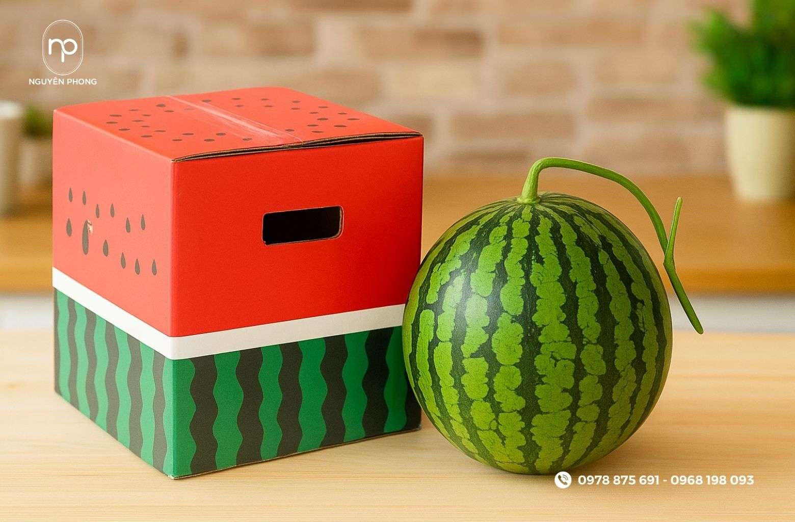 Kích thước thùng carton